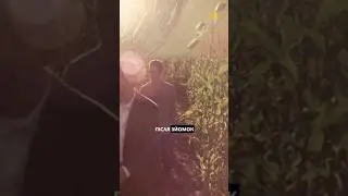 Як вирощували кукурудзу для фільму 