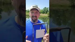 Survival Air Rifle Fishing #shorts#burningriverbushcraft