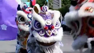 108年國慶— 舞獅 台灣培德體育會