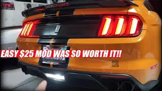 $25 Reverse Light Mod Was Worth It! | + GT350 Surging Issue...