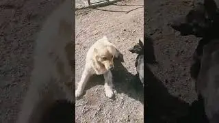 Играем