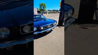 1964 mustang