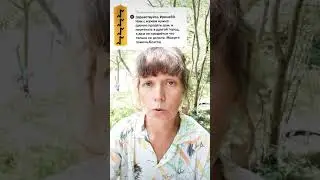 чистка дома Квеортом