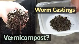 Should You Use Worm Castings In The Garden? The Data May Surprise You!