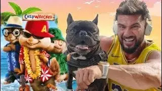Dorian Popa si Chelutu - Zile de Vara ( Official Video ) VERSIUNEA ALVIN ȘI VEVERIȚELE