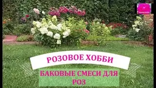БАКОВЫЕ СМЕСИ ДЛЯ РОЗ ПОСЛЕ ПЕРВОГО ЦВЕТЕНИЯ. Начинающим