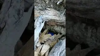 DUENDE REAL se MUESTRA ante los HUMANOS por primera vez 54 | Laguna Negra