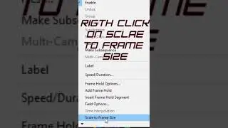 how to scale videos to frame in premiere pro😮