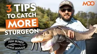 3 TIPS to catch MORE Sturgeon! | Sturgeon Fishing