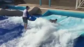 Wave Pool - Doha