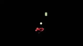 bkv - Just go 2025 Remix