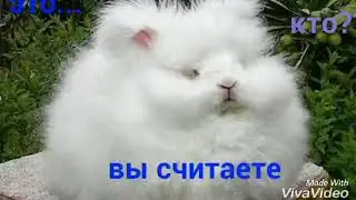 Конкурс. Все жива сюда!!!
