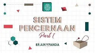 Sistem Pencernaan Part 1 | Ilmu Biomedik Dasar | Brainy Panda