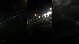 Что за зверь? Шакал?