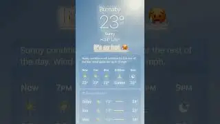 🗿