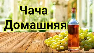 Чача Виноградная за Два часа в Домашних условиях. Простейший рецепт.