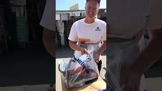 Бензопила Holzfforma G 255 🔥ВЖЕ Є В НАЯВНОСТІ 🔥