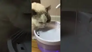 Утро после нового года 😹 