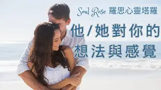 💞🌹 Soul Rose 塔羅占卜: 他/她對你的想法與感覺🌹💞 (不限時間)