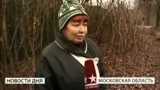 Елена Карпенко о даче Алексея Баталова