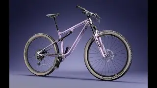 Project Butterfly