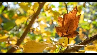 Der Oktober ist da