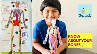 Know about your Bones || anatomy for kids - part5 || easy way of understanding anatomy for kids||