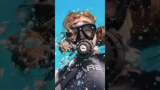 PEMBA ISLAND - Short video with Afro Divers