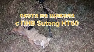 ПНВ Sytong HT60 в реальной охоте