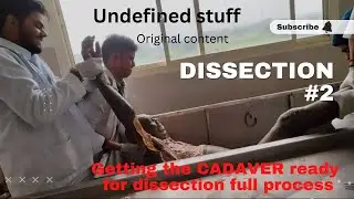 Getting the CADAVER ready for dissection || full process || Part #2 