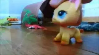 Littlest Pet Shop: Teen Time Travelers ⏰ (Episode #4: Meteor Shower)