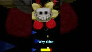 Undertale Yellow Flowey is CONFUSING 