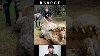 dangers alligator Bait respect 😱🔥🤯#respect #shorts #short #ytshorts