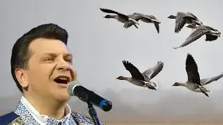 Адлятаюць гусi - ансамбль 