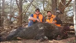 South Western Oklahoma Hog Hunting