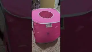 Pop goes the weasel cat