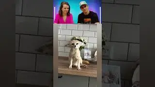 Mommy's back! 