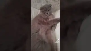 Проснулась...