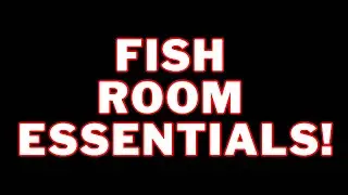 Things You Should Always Have In YOUR Fish Room!