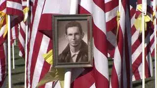 Colonial Flag Veterans Day 2020