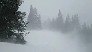Завірюха/Blizzard