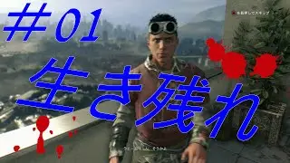 【生き延びろ】ダイイングライト＃01崩壊した都市
