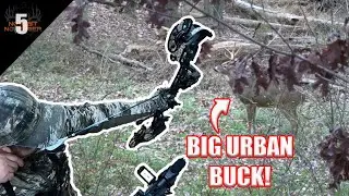 Bowhunting for BIG URBAN BUCKS in PENNSYLVANIA! (Buck Breeds Doe)