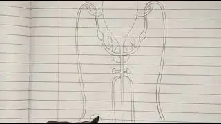 How to Draw Male Reproductive System (2D) | Easy and Stepwise Guide | Biology Diagrams | Class 12