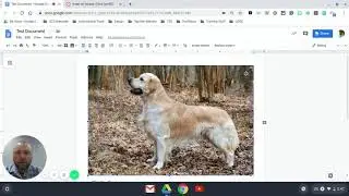 Inserting an Image into Google Docs (Docs 101)