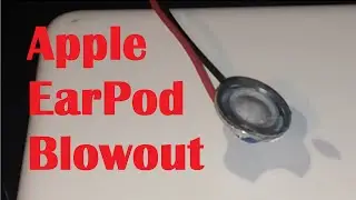 Apple EarPod blowout