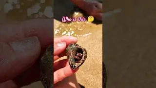 Кто в домике живёт?🤔