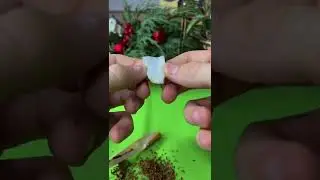How do CIGARETTES kill a person?😰