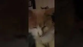 Best buddies! 