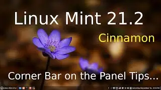 Linux Mint 21.2 - Cinnamon - Tips on the Corner Bar in Panel.